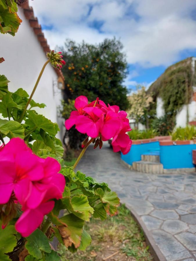 Coya Hostel Сальта Экстерьер фото